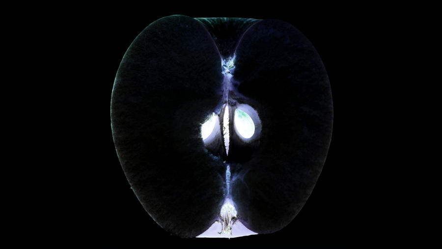 apple x-ray by ceykey on DeviantArt