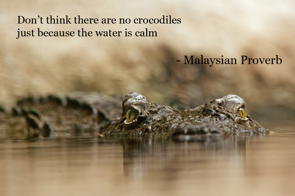 Malaysian Proverb Don T Think There Are No By Leafeo On Deviantart