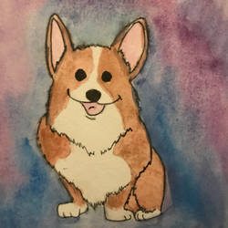 Corgi water doodle by xanthnimby