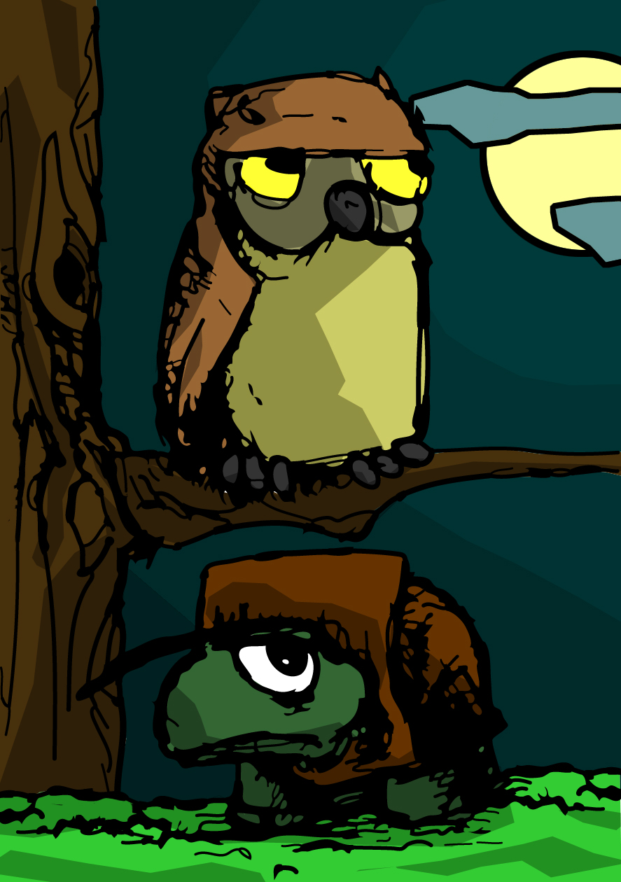 Owl and Turtle