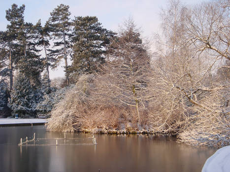 Snowy Lake