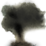 Nuclear Mushroom
