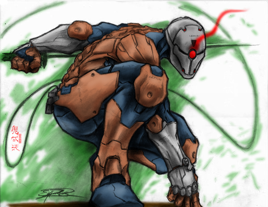 Gray fox -shawnr22- colored