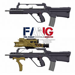 FANG - Fusil d Assaut de Nouvelle Generation