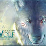 Wolf Signature