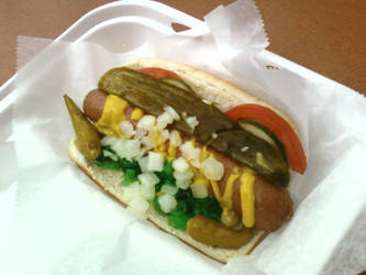 Chicago $7.00 Hotdog 2008