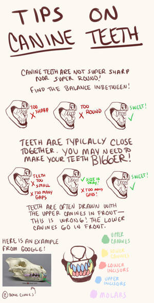 TEETH TUTORIAL/TIPS! - HELPFUL