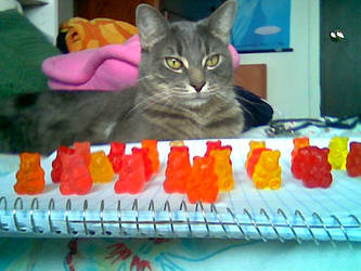 Gummi Army