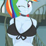 ||Sexy Rainbow Dash 2.0||