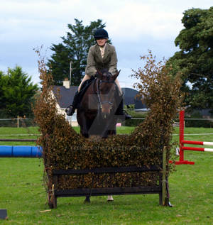 hedge jumping 2
