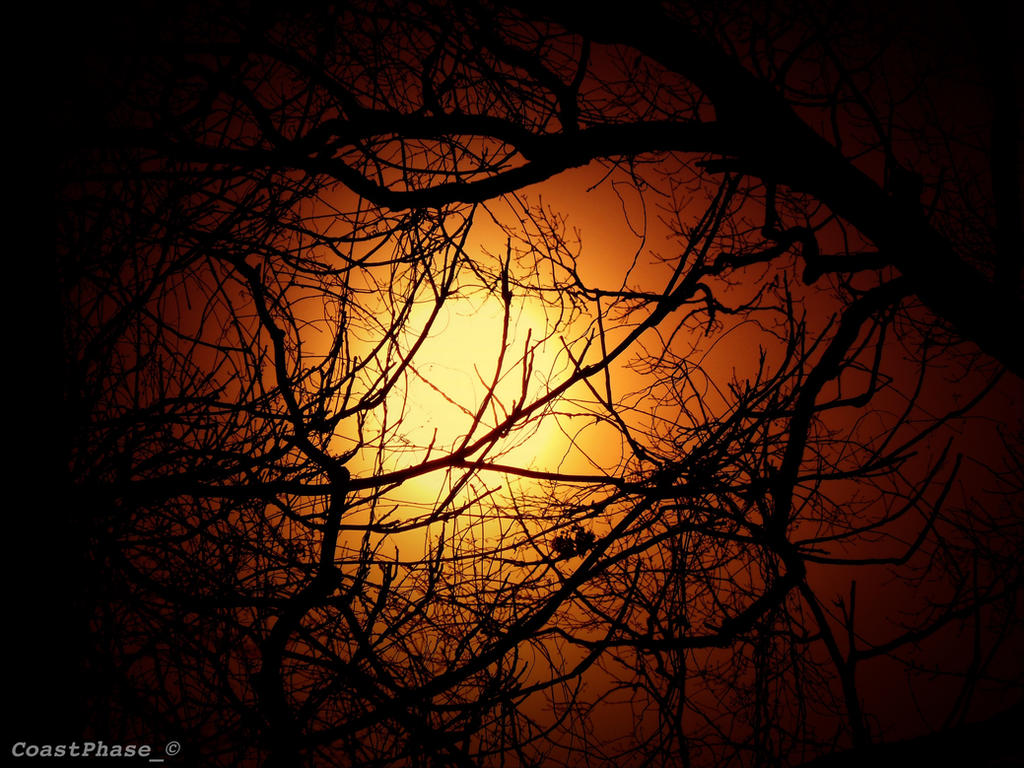 Sunset Shadow Protection Shadow Sunset by CoastPhase on DeviantArt