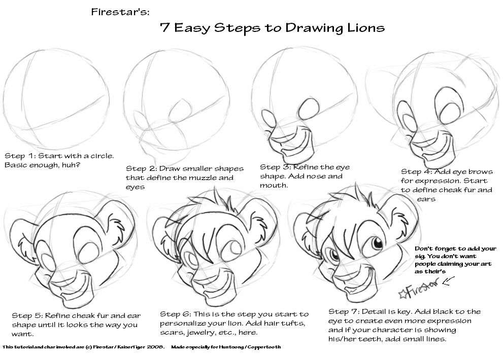 Lion Tutorial 'Draw my way' lion tutorial by KaiserTiger on DeviantArt