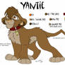 Yantie ref sheet 2008