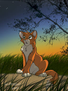 Firestar talks to StarClan