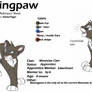 Blazingpaw ref sheet 2008