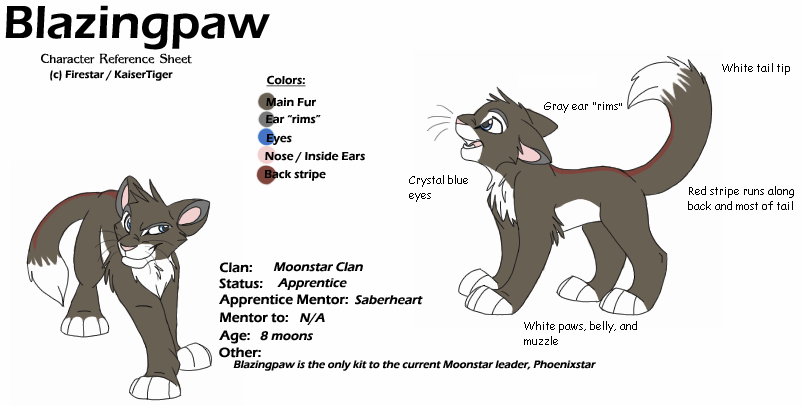 Blazingpaw ref sheet 2008