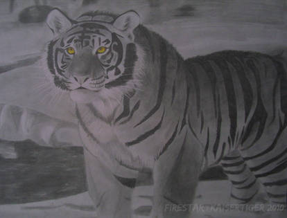 Realism: tiger