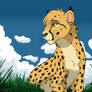 Cheetah trade - Nala15