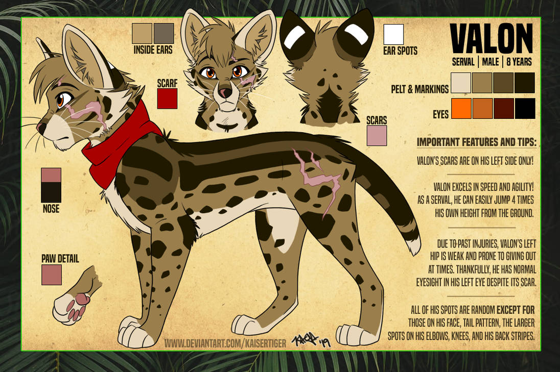 Valon Raca Valon: 2019 Ref by KaiserTiger on DeviantArt