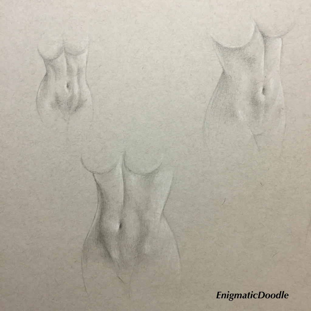 Torso Study Female Female Torso Studies by EnigmaticDoodle on DeviantArt
