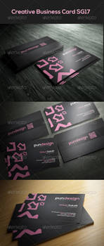 Creative Business Card SG17