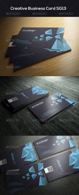 Creative Business Card SG13