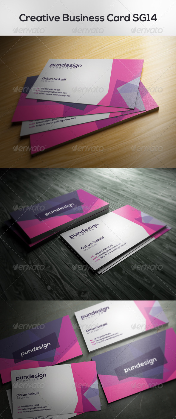 Creative Business Card SG14