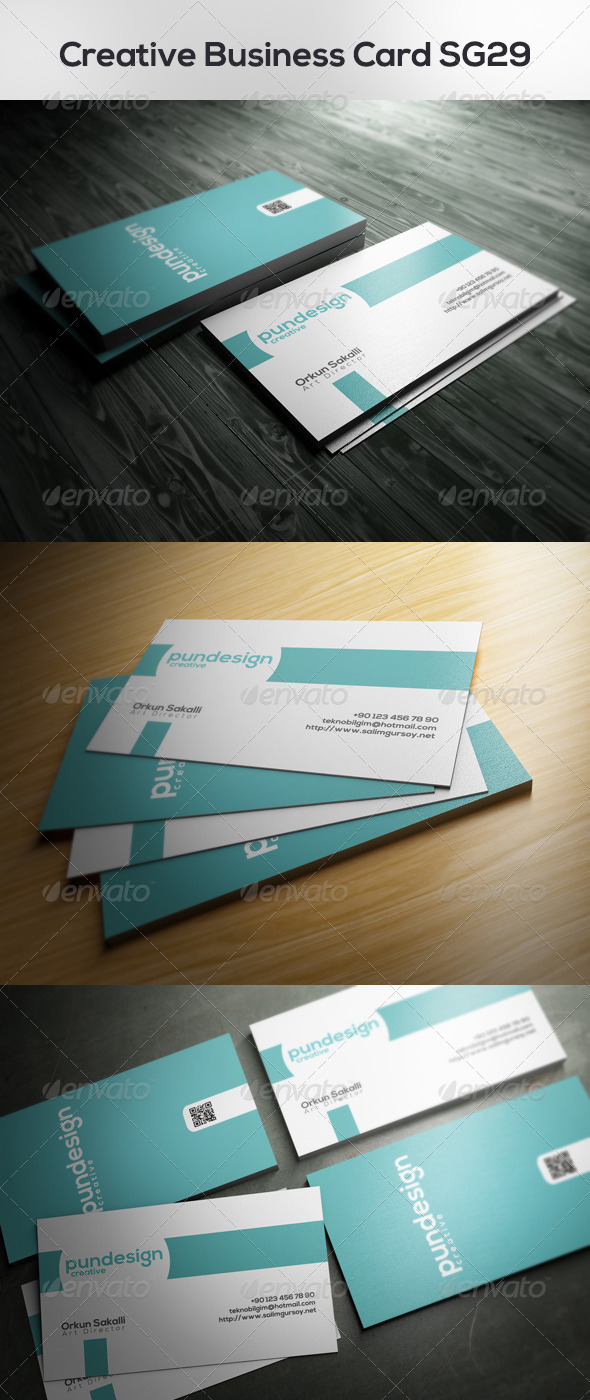 Creative Business Card SG29