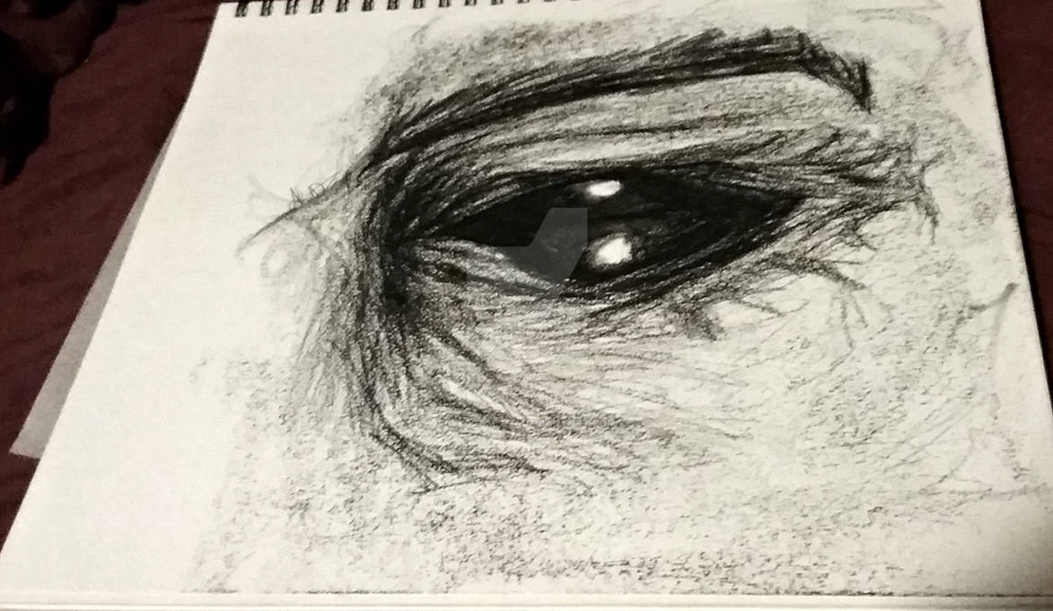 Eyes Drawing with Camlin Charcoal Pencils by DkArt95 on DeviantArt