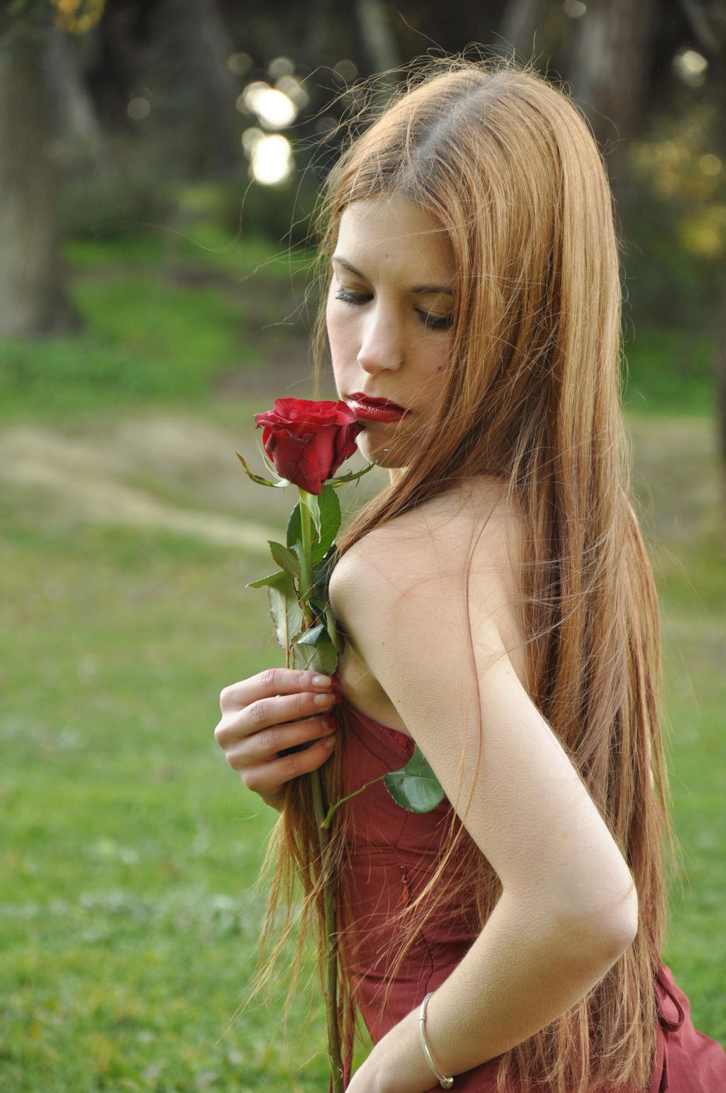 Crimson Rose XIV