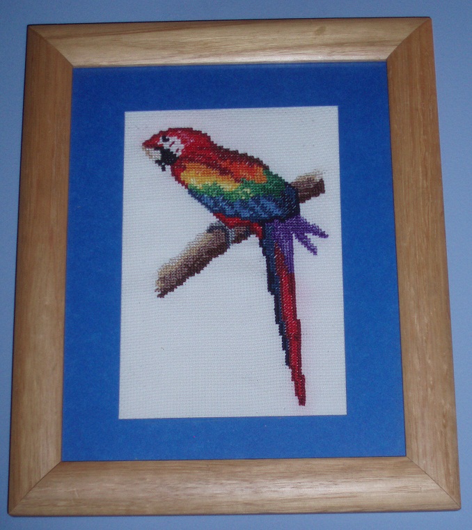 CrossStitch Cyrus ScarletMacaw