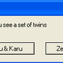 Twin Error