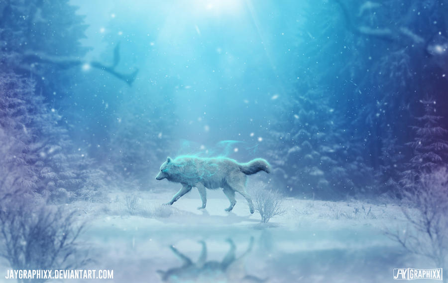 The Lone Southern Wolf by JayGraphixx