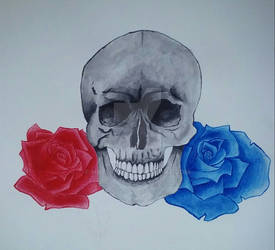 Skull and roses WIP