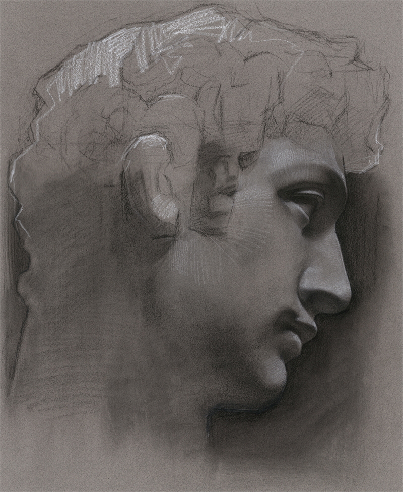 Charcoal study