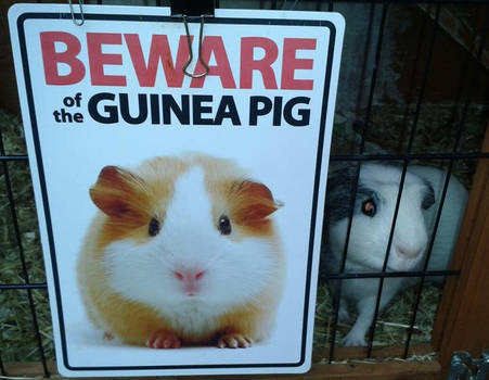 Beware!