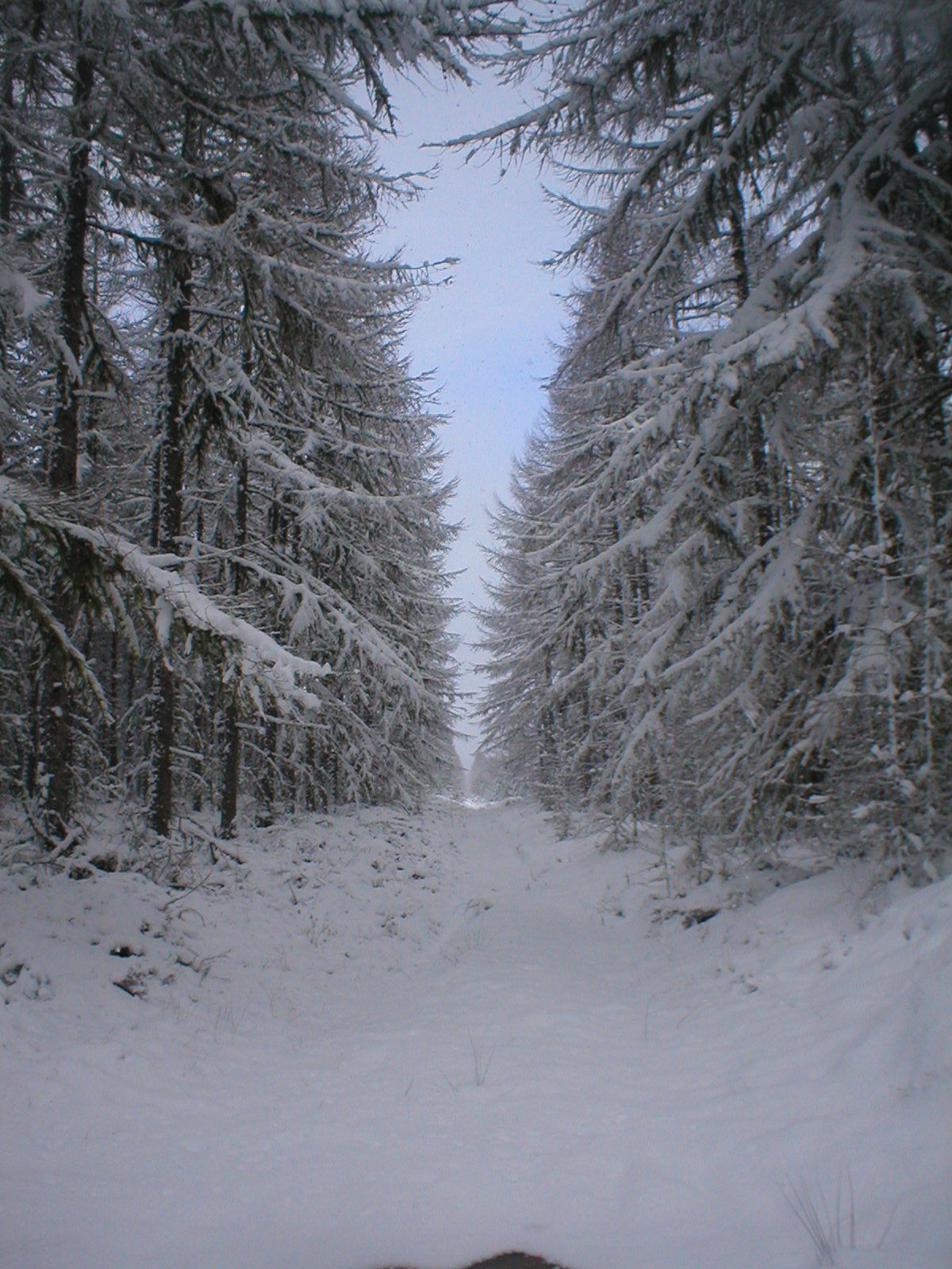 Frozen Corridor