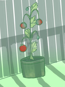 nature / foliage / veges / fruits Sketch 3