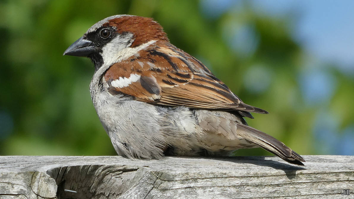 Recharge and Refocus by TrustMeMate on DeviantArt