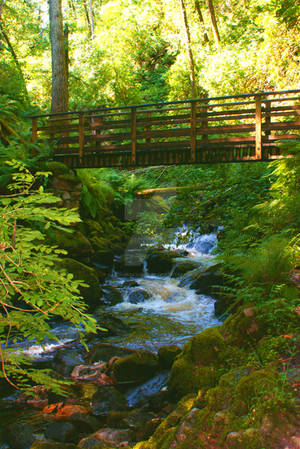 Bridge Over Untroubled Waters by Randomization1998