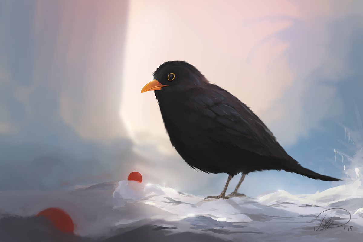 Blackbird