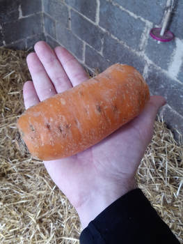 Killer Carrot