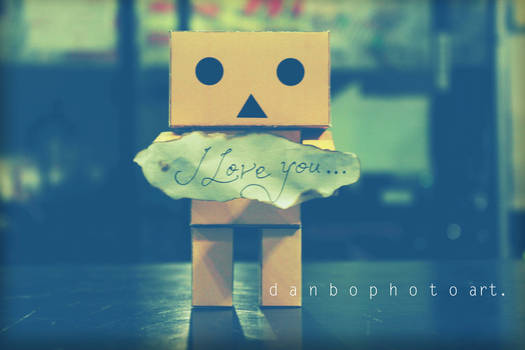 danbo love