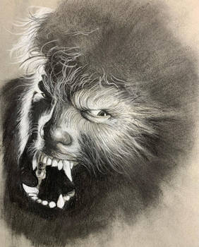 WIP Wolfman Drawing