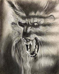 A The Howling Werewolf Drawing
