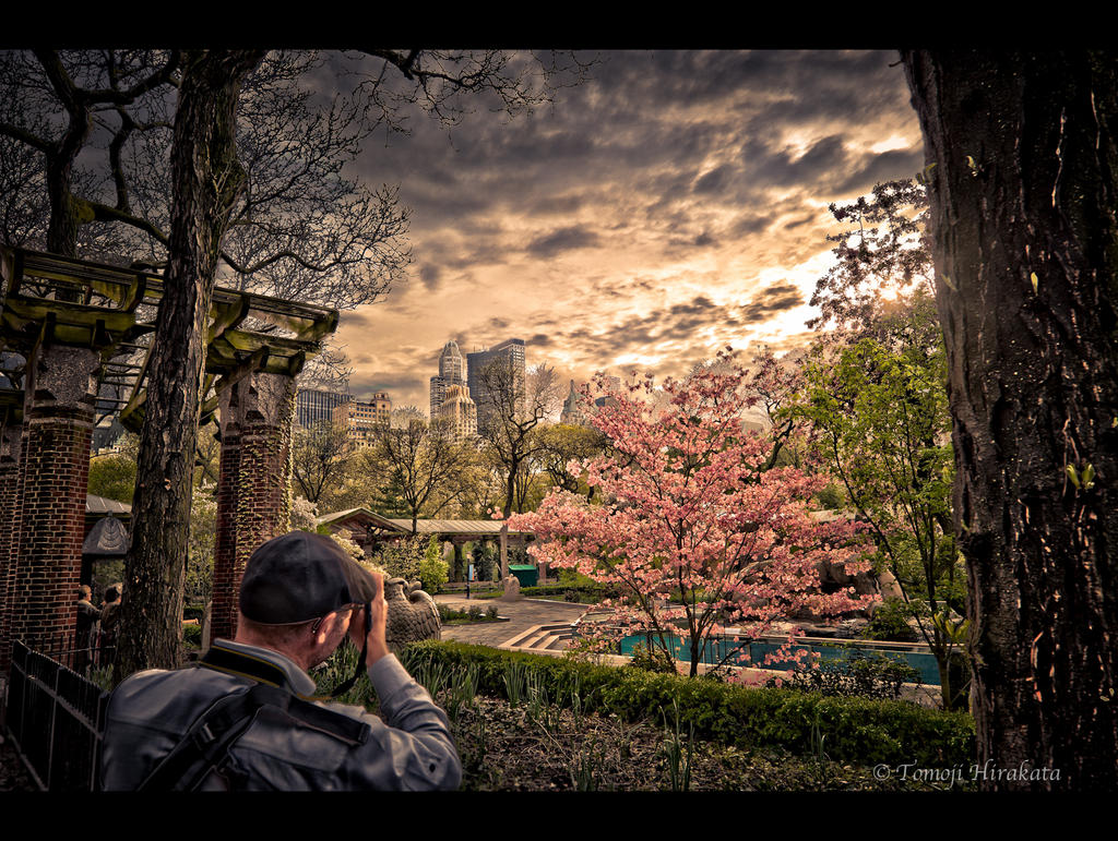 Central park Zoo