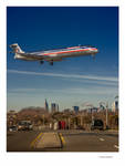 American Airlines by Tomoji-ized