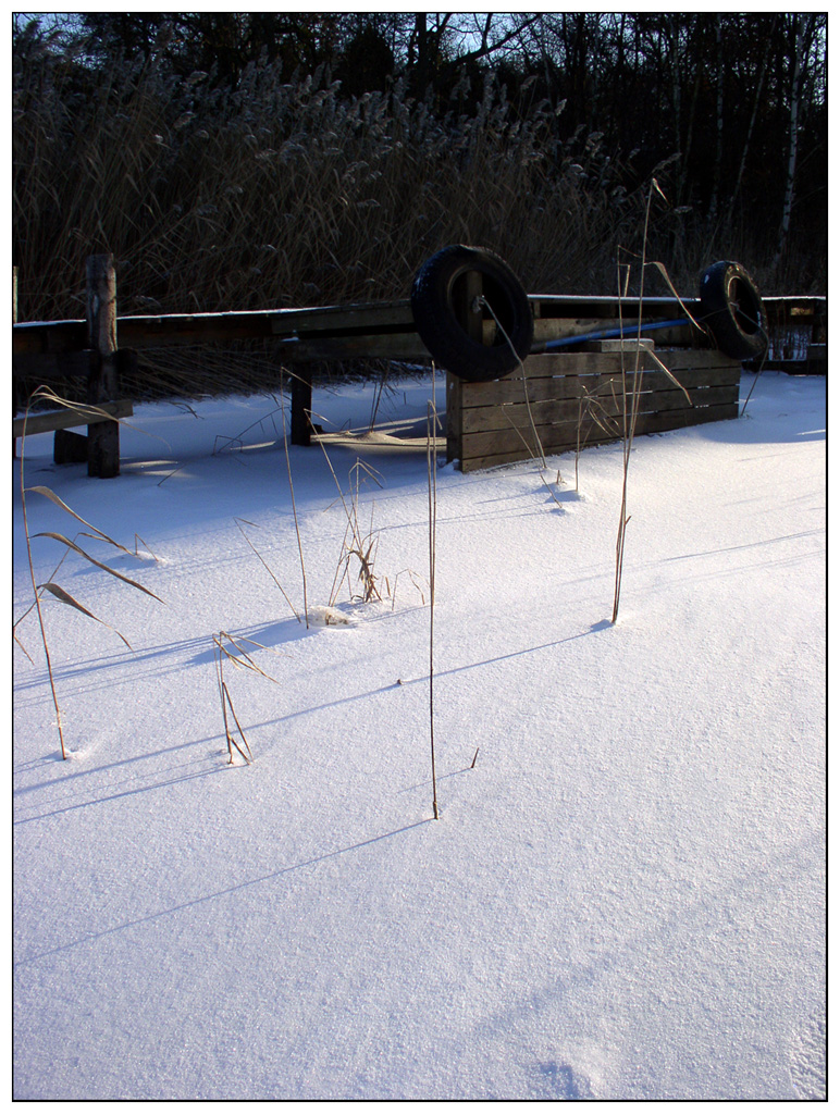 Frozen Bridge