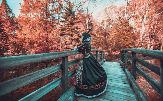 Red Queen on the Bridge