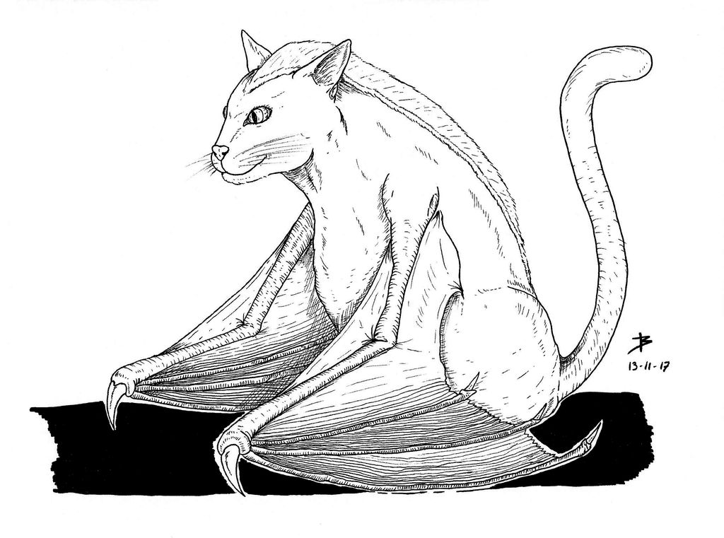Batcat Drawing BatCat by Zbaalberith on DeviantArt